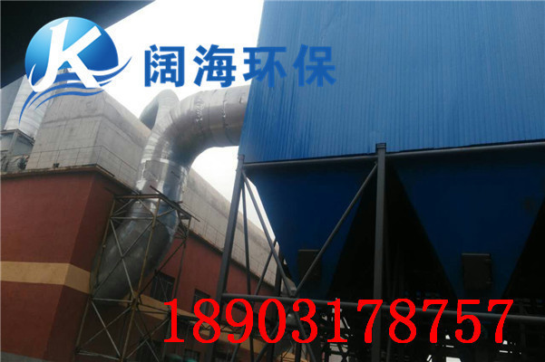 生物質(zhì)鍋爐除塵器